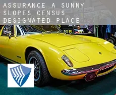 Assurance à Sunny Slopes
