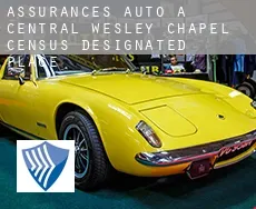 Assurances auto à Central Wesley Chapel