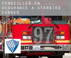 Conseiller en assurance à  Starbird Corner
