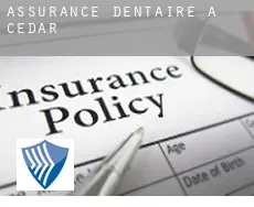 Assurance dentaire à  Cedar