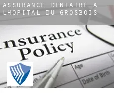 Assurance dentaire à L'Hôpital-du-Grosbois