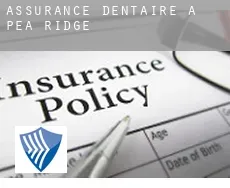 Assurance dentaire à  Pea Ridge