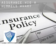 Assurance vie à Hummels Wharf