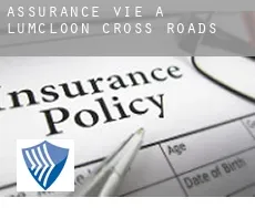 Assurance vie à Lumcloon Cross Roads