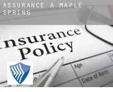 Assurance à  Maple Spring