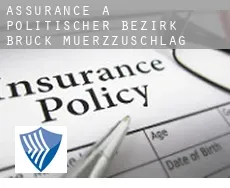 Assurance à  Politischer Bezirk Bruck-Muerzzuschlag