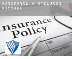Assurance à Syddjurs Kommune