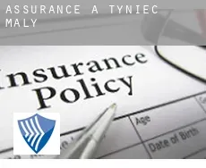Assurance à Tyniec Mały