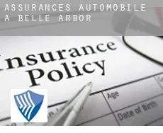 Assurances automobile à  Belle Arbor