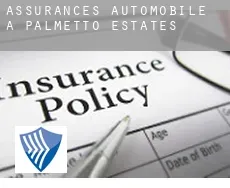 Assurances automobile à  Palmetto Estates