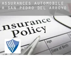 Assurances automobile à San Pedro del Arroyo