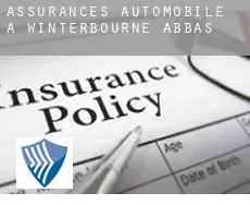 Assurances automobile à  Winterbourne Abbas