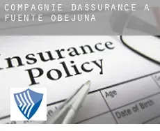 Compagnie d'assurance à Fuente Obejuna