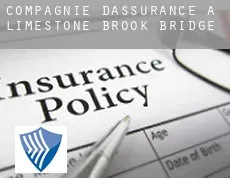 Compagnie d'assurance à Limestone Brook Bridge