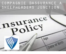 Compagnie d'assurance à  Sheepherders Junction