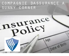 Compagnie d'assurance à  Sunny Corner