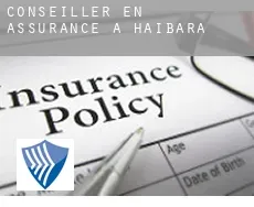 Conseiller en assurance à  Haibara