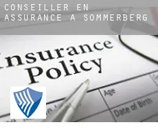 Conseiller en assurance à  Sommerberg