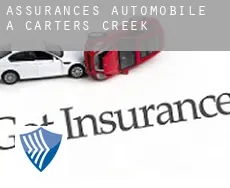 Assurances automobile à  Carters Creek