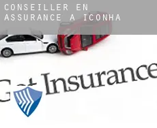 Conseiller en assurance à  Iconha