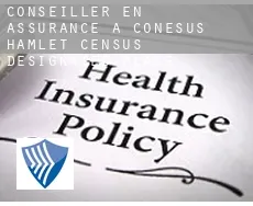 Conseiller en assurance à  Conesus Hamlet