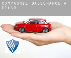 Compagnie d'assurance à  Dílar