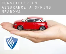 Conseiller en assurance à  Spring Meadows