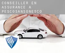 Conseiller en assurance à  Pescosansonesco