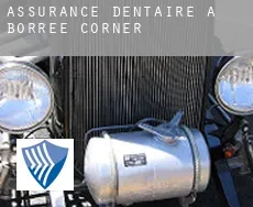 Assurance dentaire à  Borree Corner