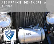 Assurance dentaire à Kenna