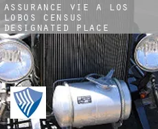 Assurance vie à Los Lobos