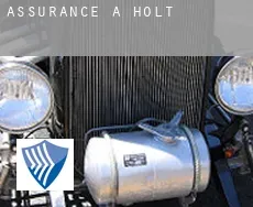 Assurance à  Holt