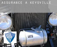 Assurance à Keysville