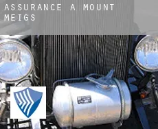 Assurance à Mount Meigs