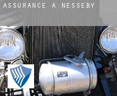 Assurance à Nesseby