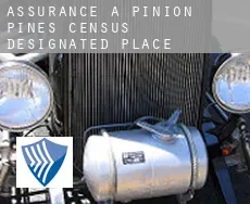 Assurance à  Pinion Pines