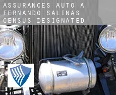 Assurances auto à  Fernando Salinas