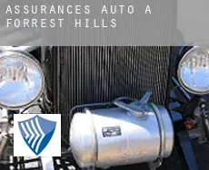 Assurances auto à  Forrest Hills