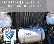 Assurances auto à  Ojibwa Subdivision