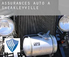 Assurances auto à Sheakleyville