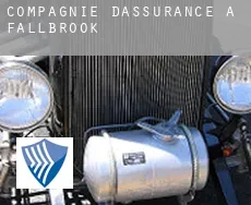 Compagnie d'assurance à  Fallbrook