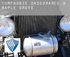Compagnie d'assurance à  Maple Grove