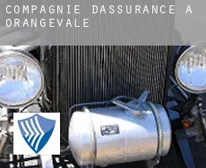 Compagnie d'assurance à Orangevale