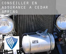 Conseiller en assurance à  Cedar Spring