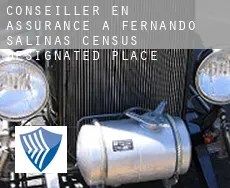 Conseiller en assurance à  Fernando Salinas