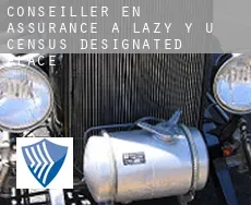 Conseiller en assurance à  Lazy Y U