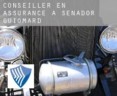 Conseiller en assurance à  Senador Guiomard
