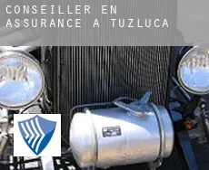 Conseiller en assurance à Tuzluca