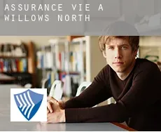 Assurance vie à  Willows North