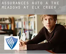 Assurances auto à The Meadows at Elk Creek